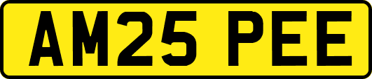 AM25PEE