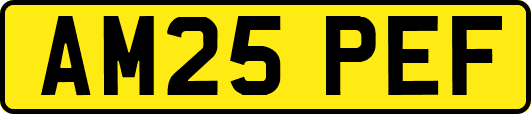 AM25PEF