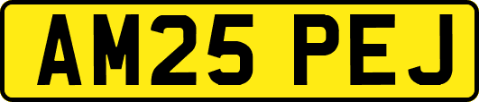 AM25PEJ