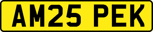 AM25PEK