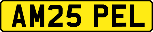 AM25PEL