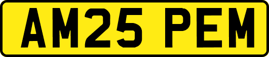 AM25PEM