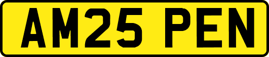 AM25PEN