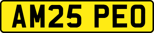AM25PEO