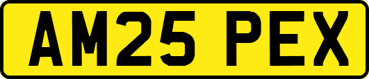 AM25PEX