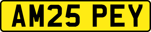 AM25PEY