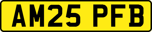 AM25PFB