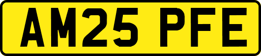 AM25PFE
