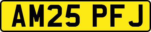 AM25PFJ