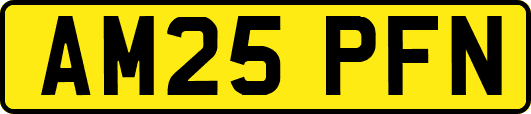 AM25PFN