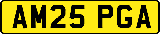 AM25PGA