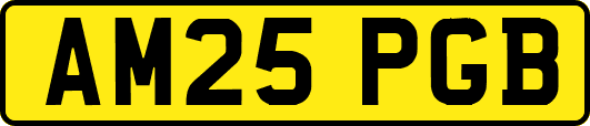 AM25PGB