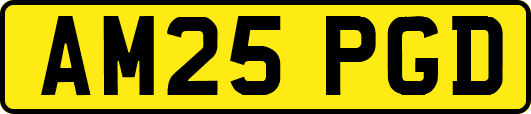 AM25PGD