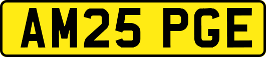 AM25PGE