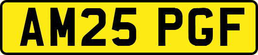 AM25PGF