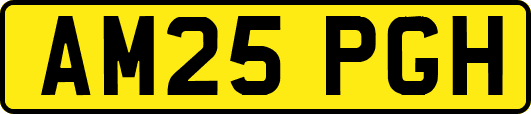 AM25PGH