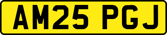 AM25PGJ
