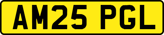 AM25PGL