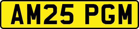 AM25PGM