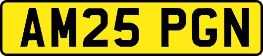 AM25PGN