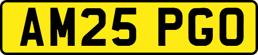 AM25PGO