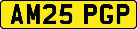 AM25PGP