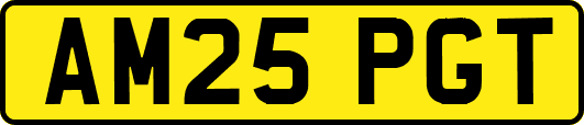 AM25PGT