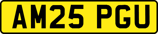 AM25PGU