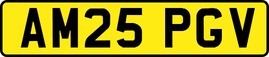AM25PGV