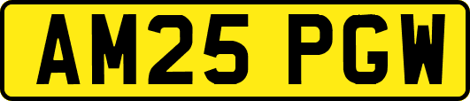 AM25PGW