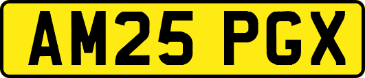 AM25PGX