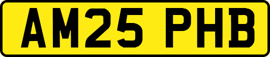 AM25PHB