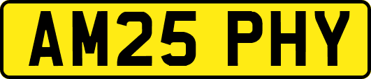 AM25PHY
