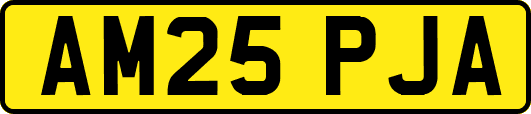 AM25PJA