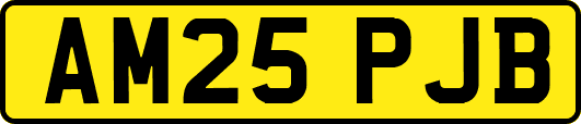 AM25PJB