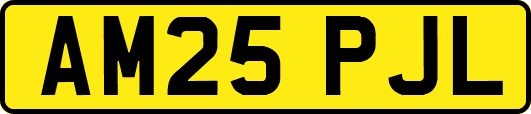AM25PJL