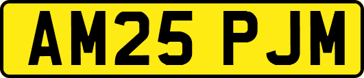 AM25PJM