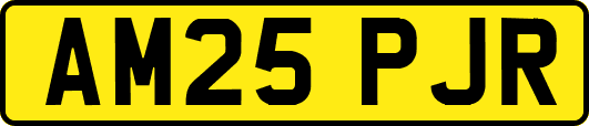 AM25PJR