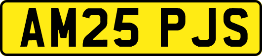 AM25PJS