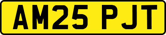 AM25PJT