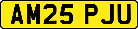 AM25PJU