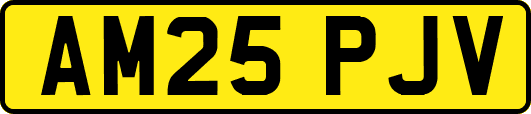 AM25PJV