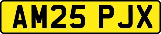 AM25PJX
