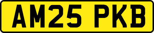 AM25PKB