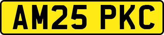 AM25PKC