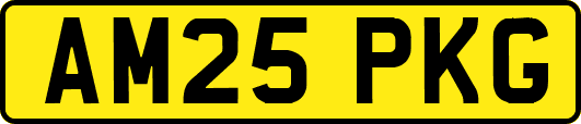 AM25PKG