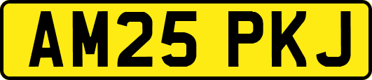 AM25PKJ