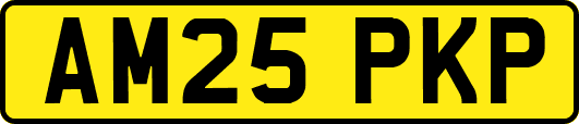 AM25PKP