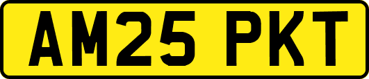 AM25PKT