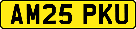 AM25PKU